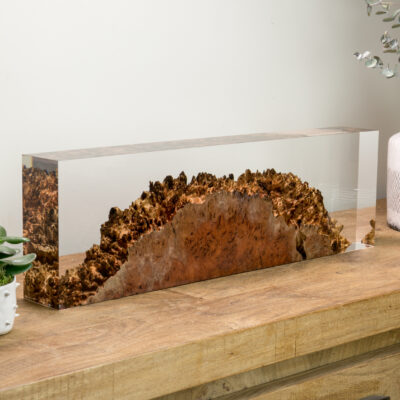 Jarrah & Acrylic Sculpture
