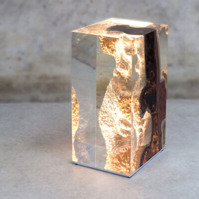 Red Mallee Tree Stump Side Table